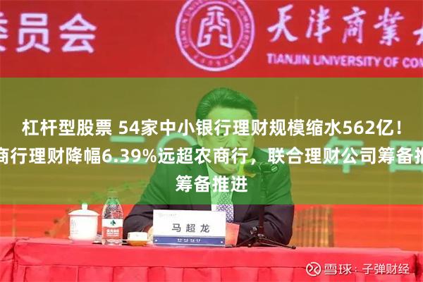 杠杆型股票 54家中小银行理财规模缩水562亿！城商行理财降幅6.39%远超农商行，联合理财公司筹备推进