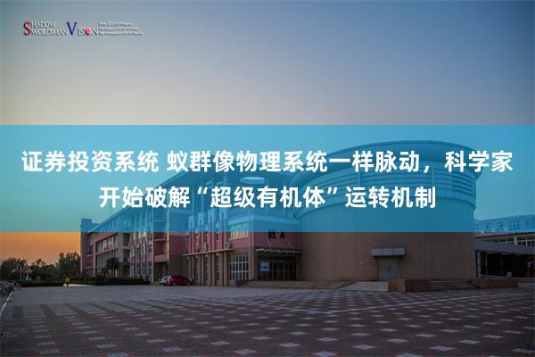 证券投资系统 蚁群像物理系统一样脉动，科学家开始破解“超级有机体”运转机制