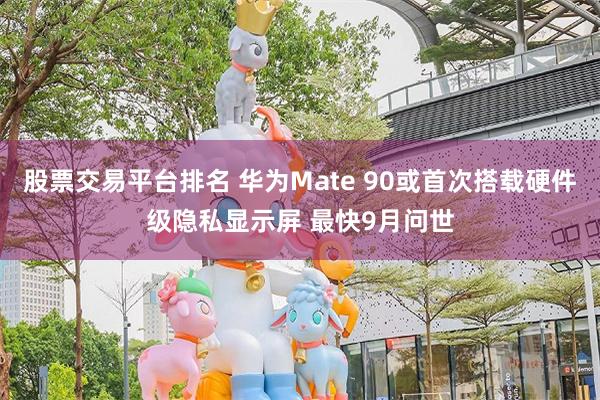 股票交易平台排名 华为Mate 90或首次搭载硬件级隐私显示屏 最快9月问世