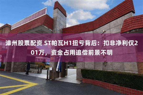 漳州股票配资 ST帕瓦H1扭亏背后：扣非净利仅201万，资金占用追偿前景不明