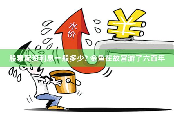 股票配资利息一般多少? 金鱼在故宫游了六百年