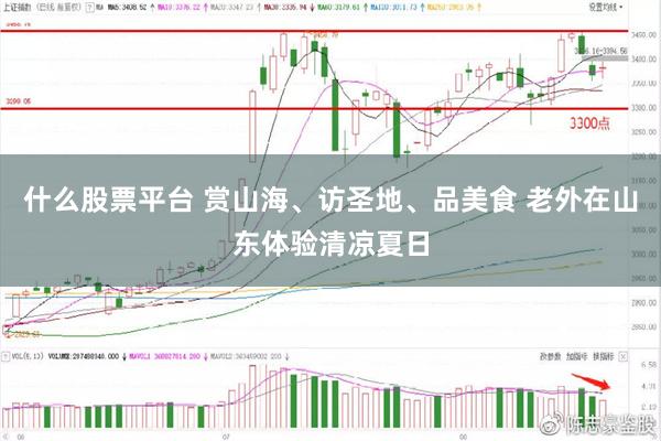 什么股票平台 赏山海、访圣地、品美食 老外在山东体验清凉夏日