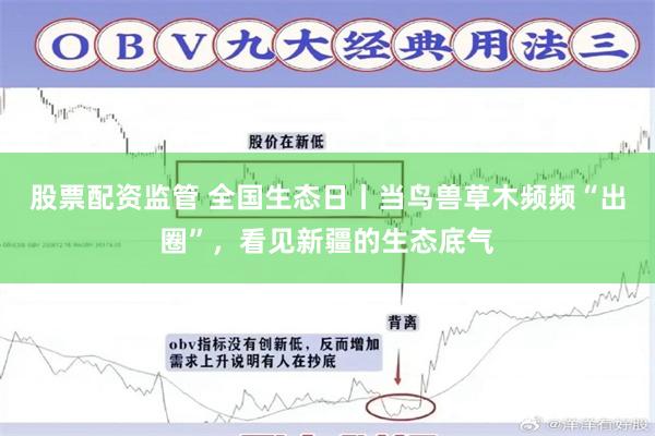 股票配资监管 全国生态日丨当鸟兽草木频频“出圈”，看见新疆的生态底气