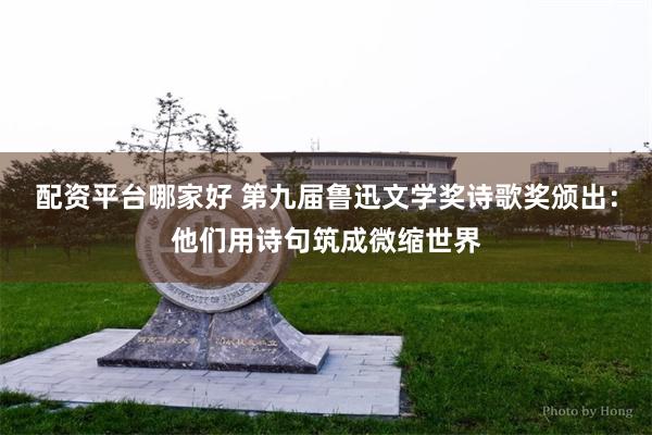 配资平台哪家好 第九届鲁迅文学奖诗歌奖颁出：他们用诗句筑成微缩世界