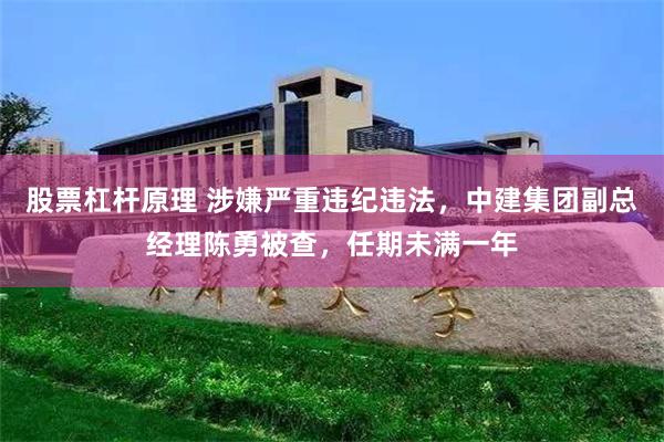 股票杠杆原理 涉嫌严重违纪违法，中建集团副总经理陈勇被查，任期未满一年