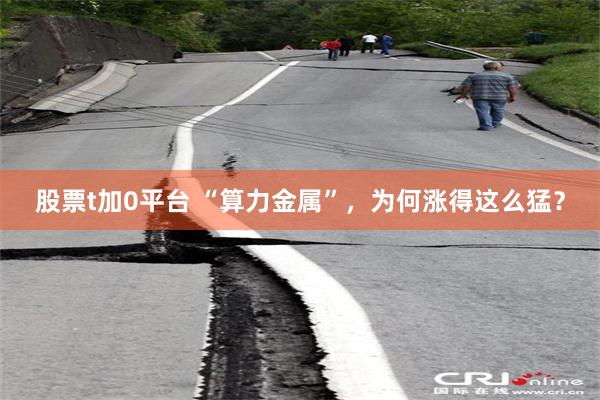股票t加0平台 “算力金属”，为何涨得这么猛？