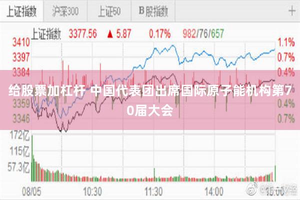 给股票加杠杆 中国代表团出席国际原子能机构第70届大会