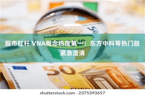 股市杠杆 VNA概念热度第一！东方中科等热门股紧急澄清